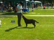 Národná výst.Prešov r.2011, Fíbí získala res CAC